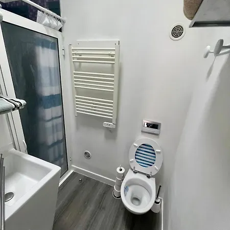 דירה Cosy Climatise Avec Mansardee Monnet-mermoz Tram Metro 15 Mnparis רונגיס
